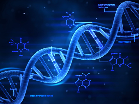 医疗素材 医疗背景 生物科技