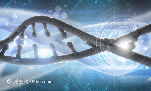 DNA分子高科技DNA分子的生物化学背景