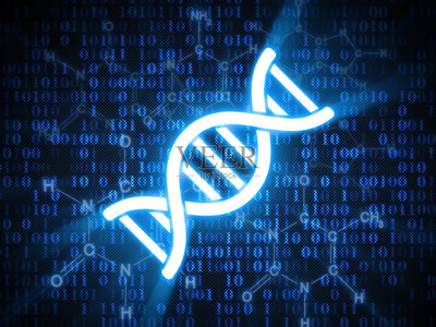 脱氧核糖核酸,螺旋,染色体,生物科技,分子结构