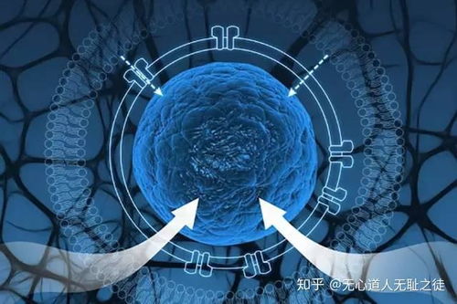 人造大脑 上帝之手 合成生物学 第三次生物科技革命 人工创建全新的生物系统生命体 美军昆虫联盟计划
