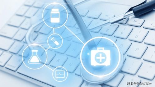 南下资金年内净流入超3300亿元，被重点关注的生物科技有何魅力