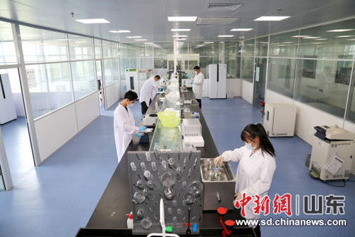 山东恒鲁生物项目荣获全国颠覆性技术创新大赛优秀奖，彰显生物科技新动能