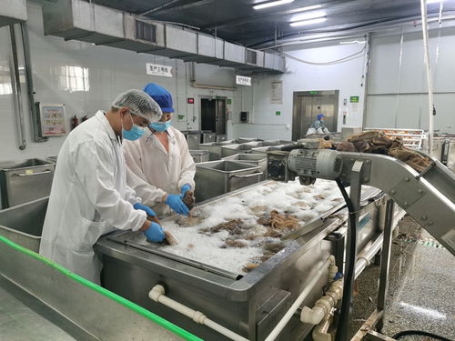 食品与生物工程学院省科技特派员前往受灾企业开展生物科技精准帮扶