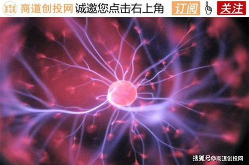君赛生物获千万Pre-A轮融资，加速新型实体瘤细胞疗法研发