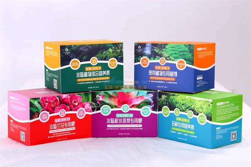 圣地光合作用 安艳科技，为雨林植物注入生命能量