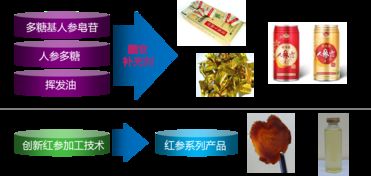 生物科技研究中心 驱动未来生命科学创新的核心引擎